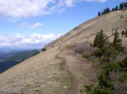 3.24.06 Dog Mountain